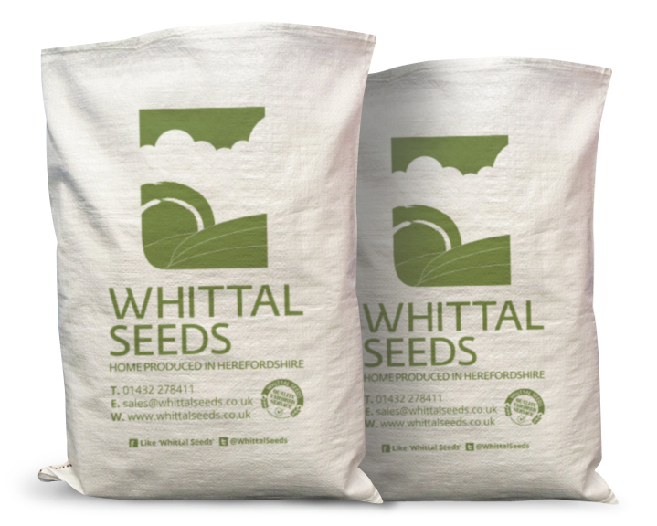 Whittal Seeds