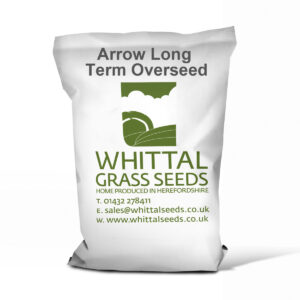 Arrow Long Term Overseed – 5 Year +